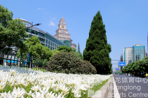 美丽西湖——黄龙亚运示范区上榜省级“高品质示范街区”！(图5)